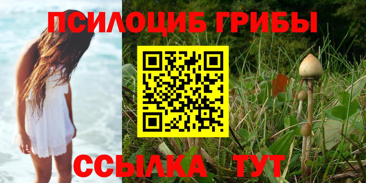 Псилоцибиновые грибы мицелий  Вход с VPN  Белгород 